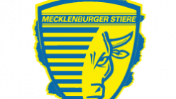 Mecklenburger Stiere Schwerin Logo der Mecklenburger Stiere Schwerin