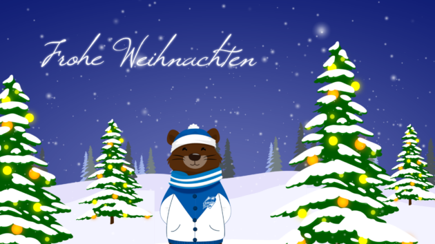 Frohe Weihnachten 2024